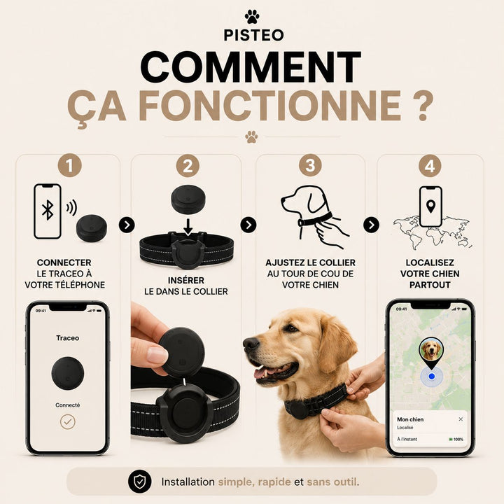 Fonctionnement du collier connecté Pisto