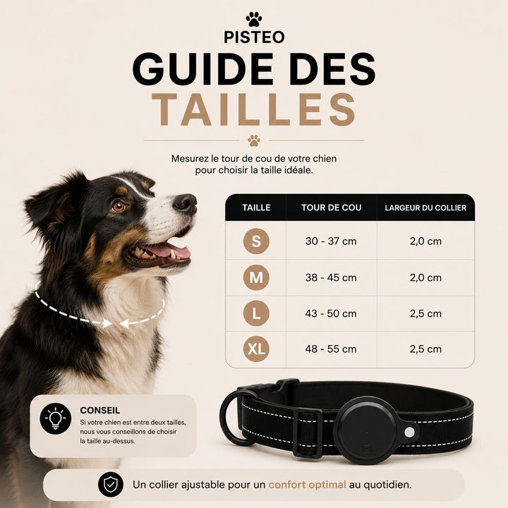 Guide des tailles Pisto : S, M, L, XL