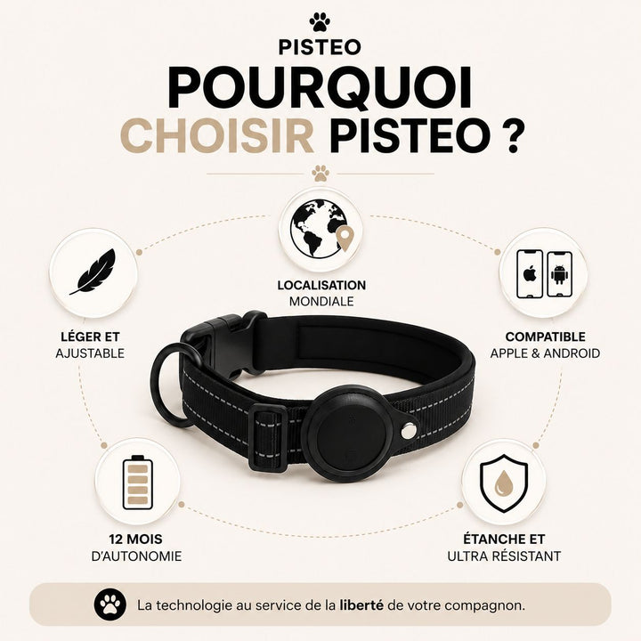 Pourquoi choisir le collier Pisto