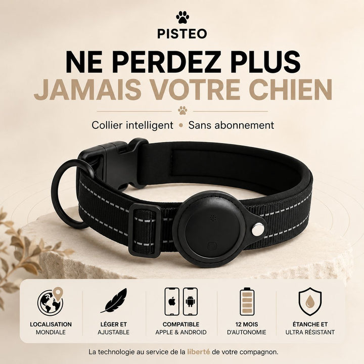 Pisto – collier connecté pour chien