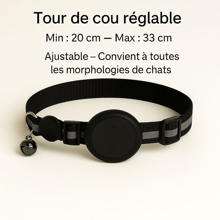 Chat avec son collier Félix au quotidien