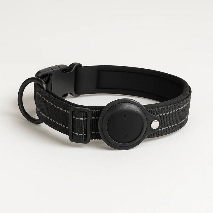 Collier Pisto noir pour chien avec traceur