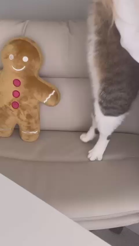 Félix — suivi du chat avec le collier Keepwatch